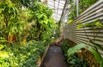 Ogród botaniczny w Warszawie