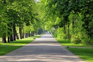 Najpiękniejsze parki w Warszawie. Klimatyczne alejki zachęcają do spacerów