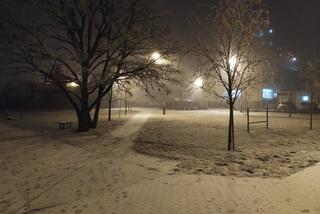  Atak zimy w Bydgoszczy! Uwaga na silne wichury i śnieg