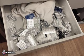 Z Polski do Ukrainy w psiej puszce! Mafijny szlak metamfetaminy przerwany