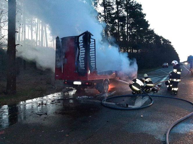 Zobaczcie jak przebiegała akcja strażaków. 