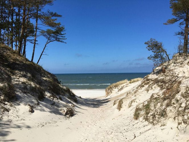 Plaża w Łebie