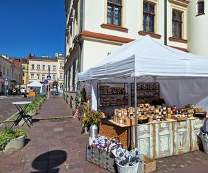 Festiwal Karpaty na Widelcu w Rzeszowie