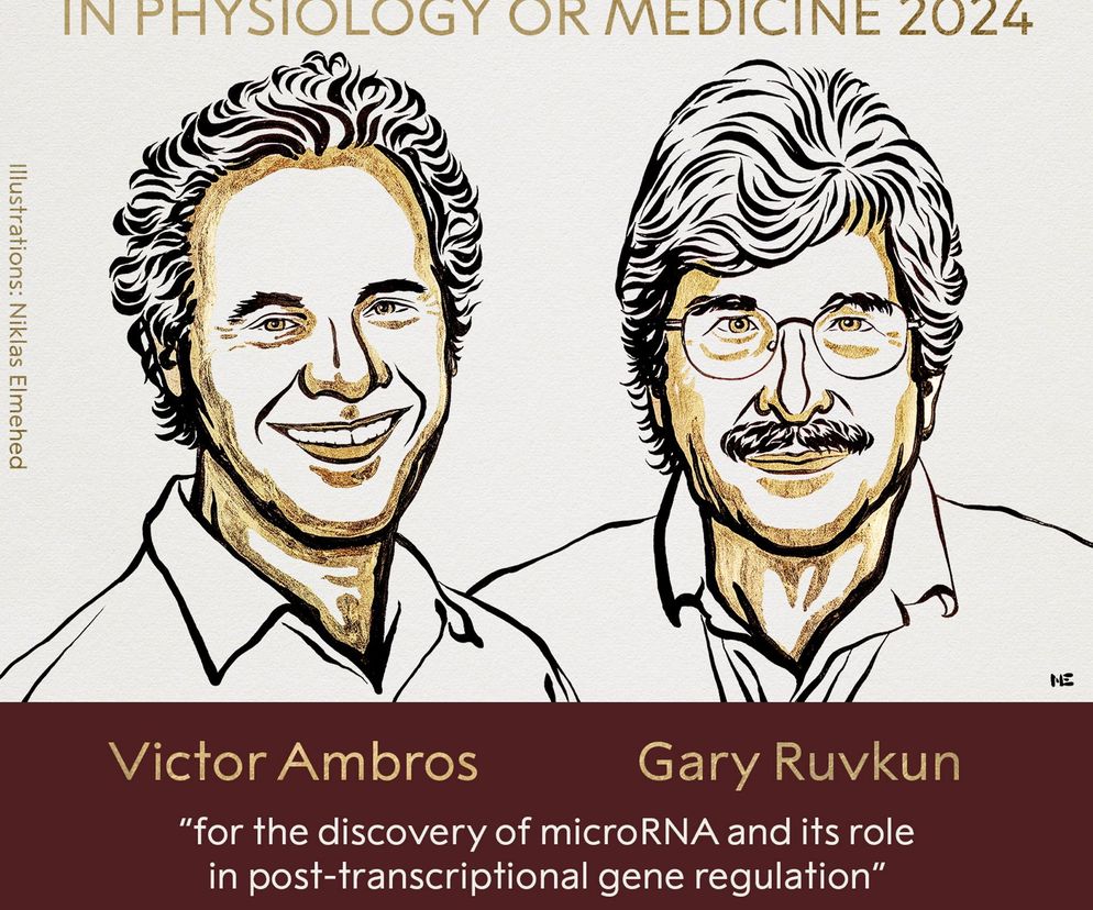 Amerykańscy biolodzy Victor Ambros i Gary Ruvkun zostali tegorocznymi laureatami Nagrody Nobla