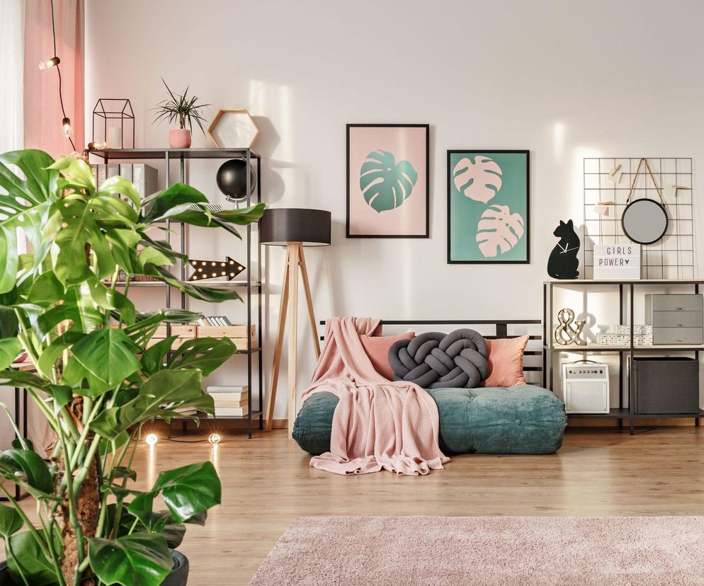 Doniczkowe pnącza prowadzone na palikach, kratkach i innych podporach