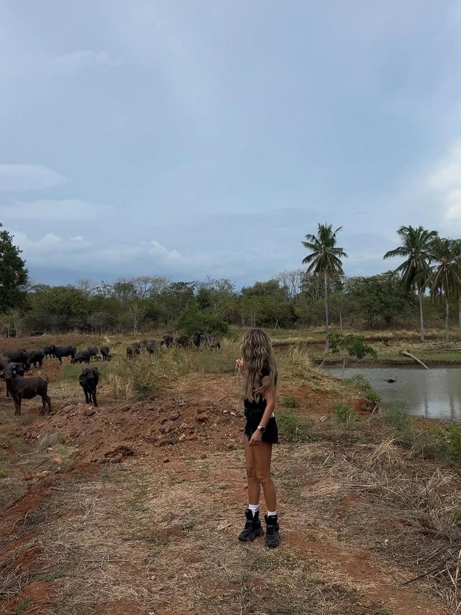 Królowa przetrwania