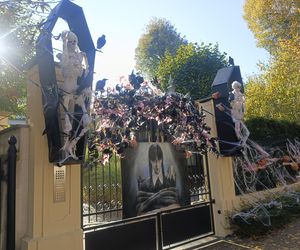 Willa na Jaśkowej Dolinie w Gdańsku znów straszy! Tegoroczny motyw Halloween budzi niepokój 