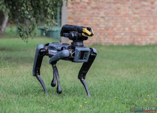 Robopies odwiedził i ćwiczył z warszawskimi policjantami