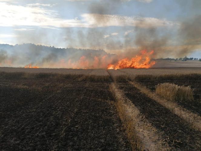 Pożar maszyny rolniczej, rżyska słomy i zboża - Lipowina gm. Braniewo