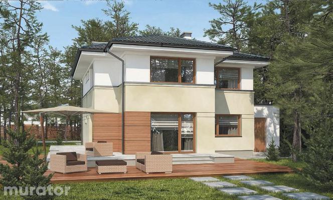 Projekty domów dla dużej rodziny