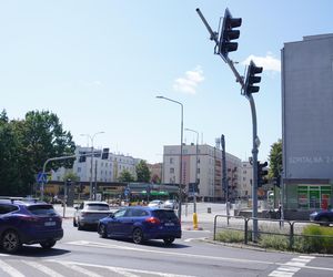 5. Ogrody 