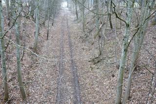 Nowa ścieżka rowerowa Olecko – Gordejki Małe. Będzie przebiegać po trasie dawnej linii kolejowej [ZDJĘCIA]