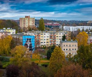 Na ul. Rugiańskiej powstaje mural z kotem Gackiem