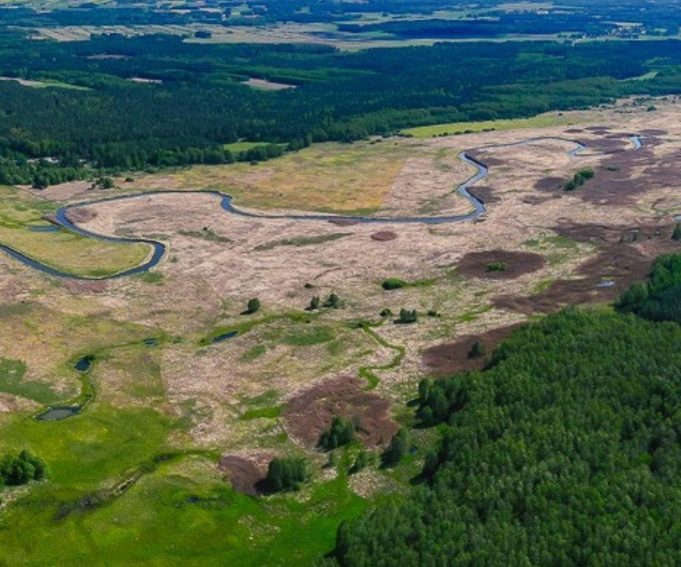 „Polska Amazonia” i „Polski Wersal”. Sprawdź, czy znasz największe atrakcje Podlasia