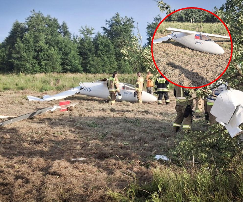 Szybowiec runął na ziemię. Pilot wymknął się przeznaczeniu