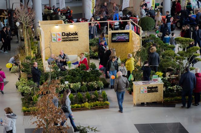 IV edycja Targów Home Design. Jedna z najważniejszych imprez branży wyposażenia wnętrz i designu już w marcu! 