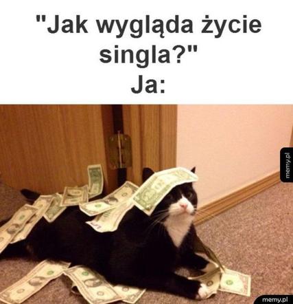 Dzień singla - najlepsze MEMY