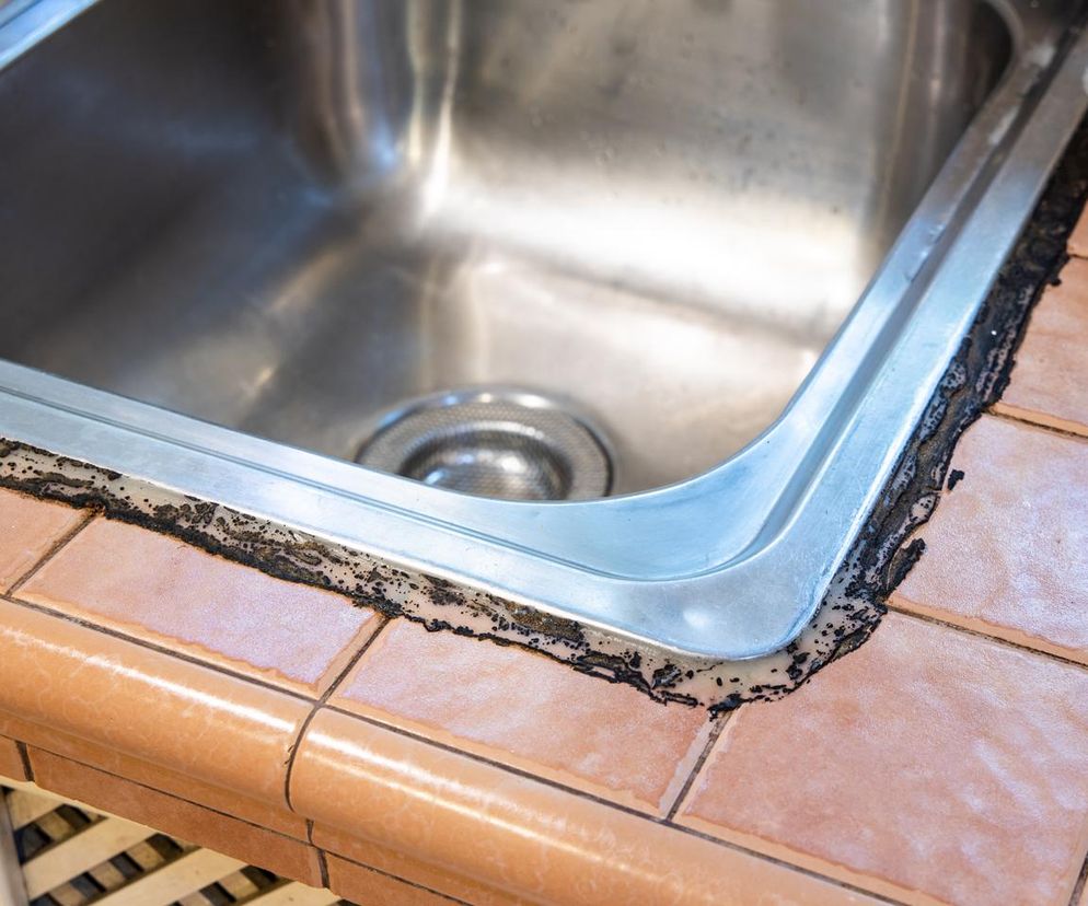 Jak się pozbyć pleśni? Te triki przywrócą świeżość twoim ścianom i kuchennym meblom