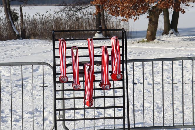 Bieg Zwycięskiego Powstania Wielkopolskiego nad Strzeszynkiem