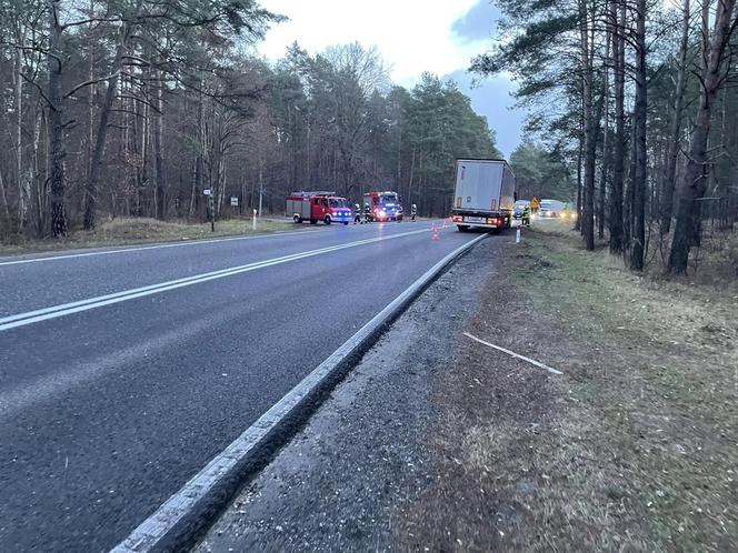 Drzewo runęło na jadące pojazdy na DK 10 pod Bydgoszczą! O krok od tragedii