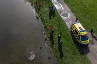 Poszukiwania rzeźby Czaple nad jeziorem Rusałka
