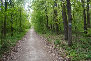 Pierścienica i Aleja na Stadion w Kielcach