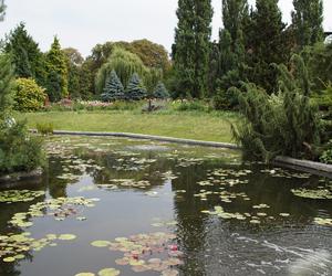 To jeden z najpiękniejszych ogrodów botanicznych w Polsce. Znajduje się na Dolnym Śląsku 