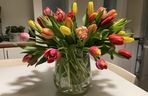 Bukiet tulipanów