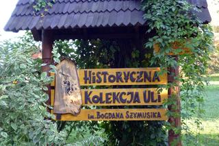 Ta wieś w Małopolsce słynie z pszczelarstwa. Znajdują się w niej najpiękniejsze ule w Polsce