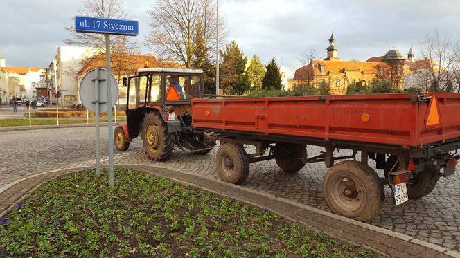 Za nieco ponad miesiąc wiosna! Na skwerach w Lesznie zaczęły się już pozimowe porządki