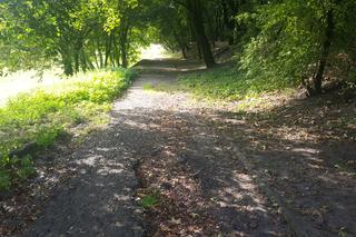 Park Zamkowy i Promenada w Mysłowicach