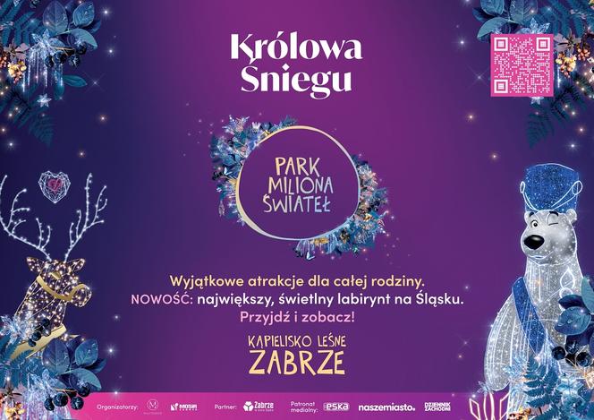 Zimowy Festiwal Figur Lodowych W Parku Miliona Świateł w Zabrzu