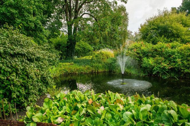 Ogród Botaniczny Uniwersytetu Warszawskiego, Warszawa