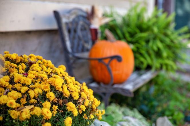 Jesienne dekoracje balkonu i tarasu