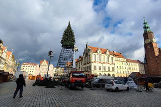 Na Rynku we Wrocławiu stawiają 24-metrową choinkę. Będzie inna od poprzedniej 