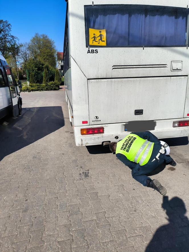 Zdezelowane autobusy miały wieźć dzieci na wycieczkę i do szkół