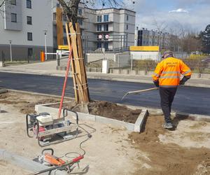 Kończy się przebudowa odcinka Dożynkowej w Lesznie. Drogowcy wylewają dziś asfalt na jezdni 