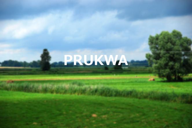 Prukwa