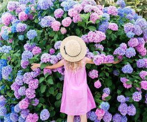 Hortensje marnieją i brązowieją? Podlej je domową odżwką. Dzięki temu zamiast pustych badyli za kilka miesięcy ujrzysz kuliste kwiaty. Czym nawozić hortensje, aby lepiej kwitły? 