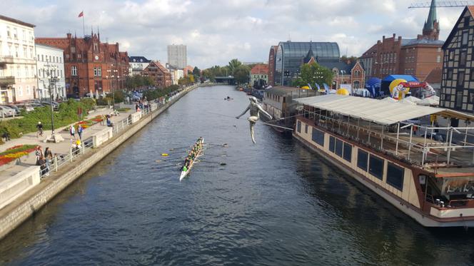 Wielka Wioślarska 2019 w Bydgoszczy 