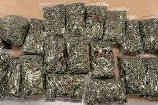 Policjanci z Koszalina przechwycili narkotyki warte pół miliona złotych