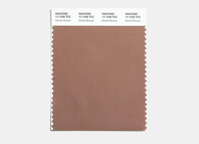 Kolor Roku 2025 Pantone - Mocha Mousse