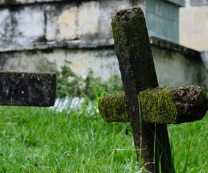 Ile osób umiera poszczególnych województwach Polski?