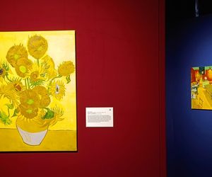 Wystawa VAN GOGH – The Immersive Exhibition w Szczecinie