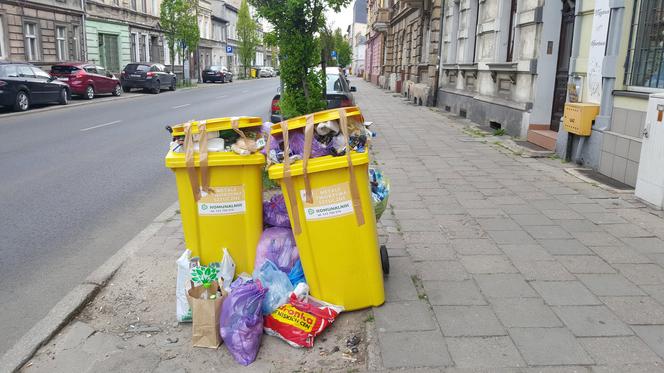 Bydgoszczanie mają już dość! Wciąż toną w śmieciach!