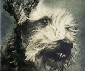 Przekrój, listopad 1957