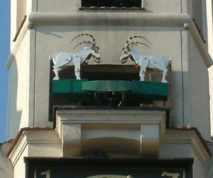 Ten pasterz uratował poznańskie koziołki. HIstoria Szymona Czarnego