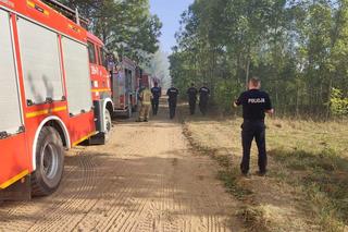 Pożar we wsi Budy. Policjant zauważył dym i ruszył na pomoc