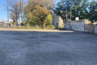 Pchli Targ Dolna