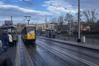 Kolumba w Szczecinie 